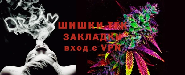 прущие грибы Бугульма