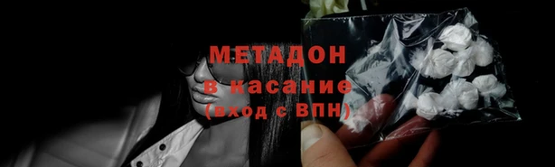 прущие грибы Бугульма