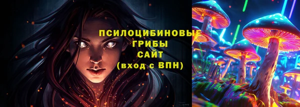 прущие грибы Бугульма