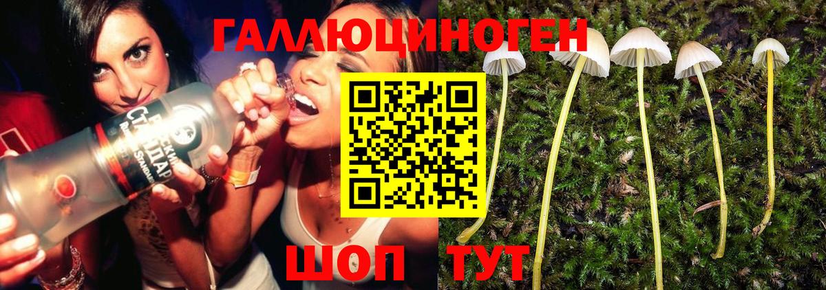 Псилоцибиновые грибы GOLDEN TEACHER  Вход с VPN  Выборг 